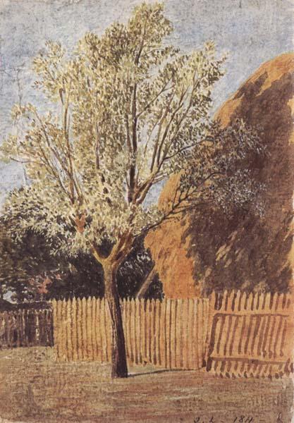 John linnell Study of a Tree